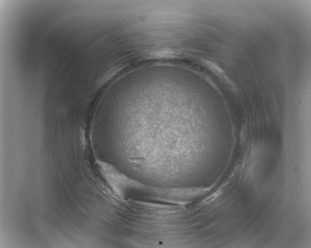 X0000068821209200605081136