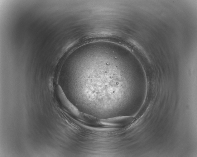 X0000068821210200605081136