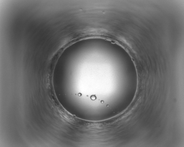 X0000068821211200605081136