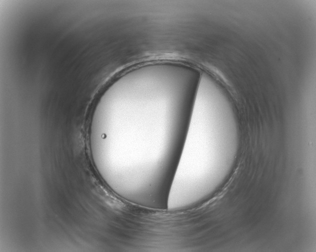 X0000068821212200605081136