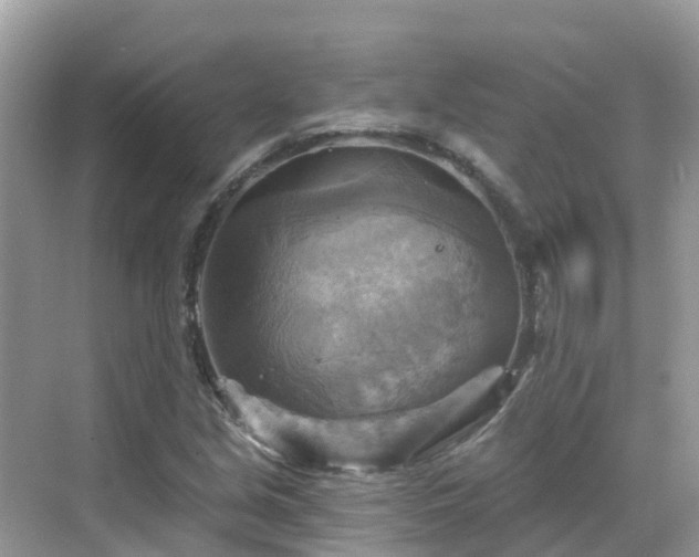 X0000068821213200605081136