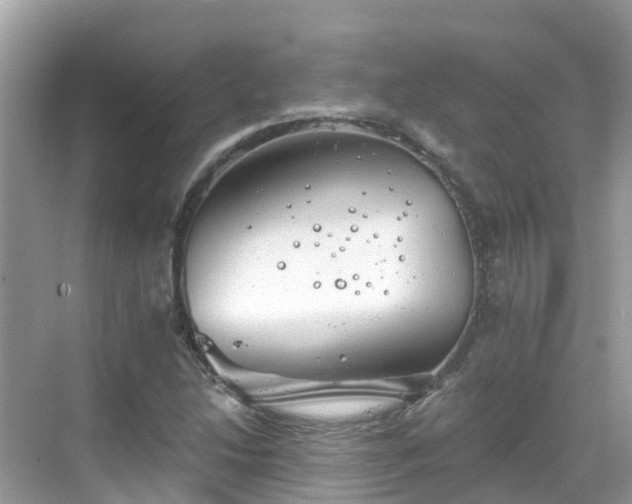 X0000068821214200605081136