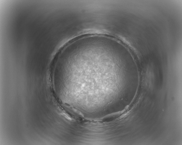 X0000068821215200605081136