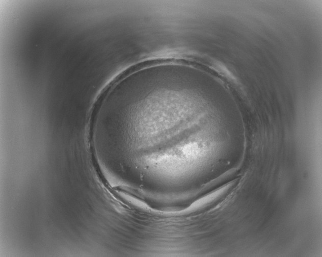 X0000068821216200605081137