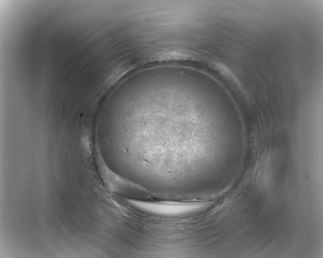 X0000068821217200605081137