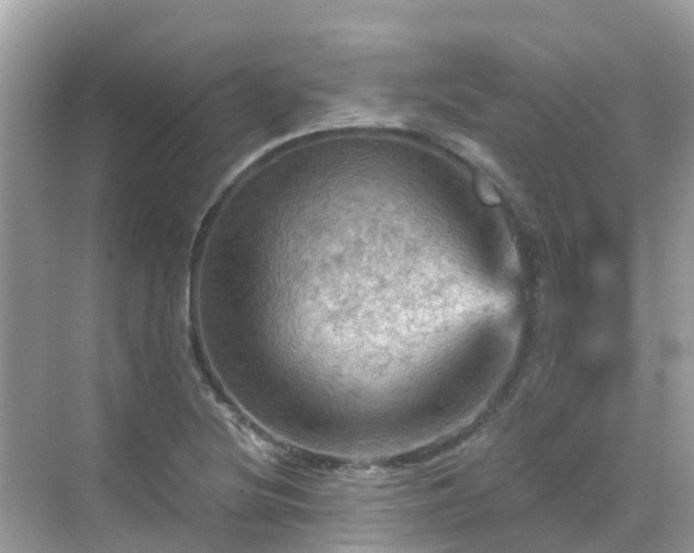 X0000068821220200605081137