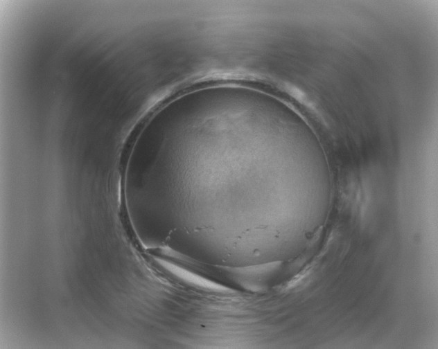 X0000068821221200605081137