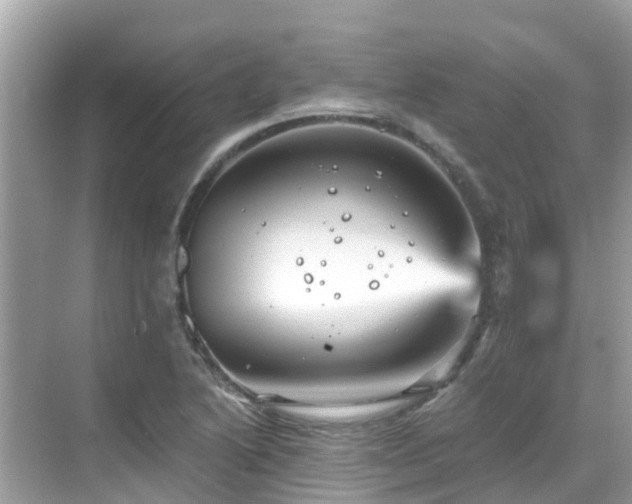 X0000068821222200605081137