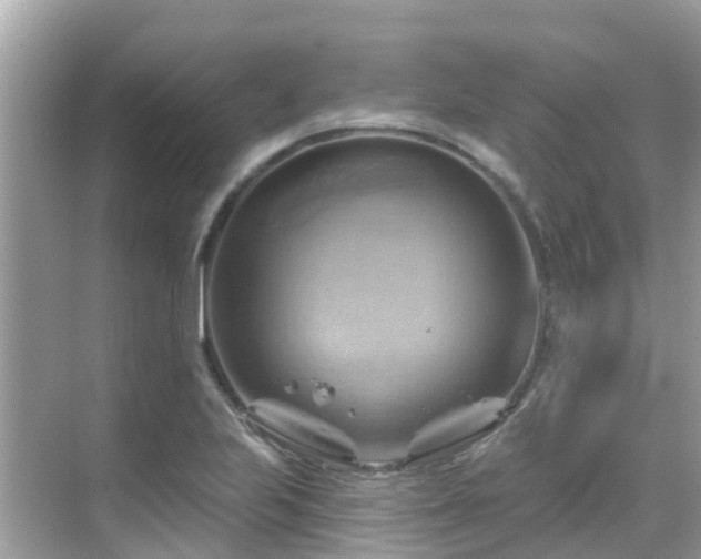 X0000068821223200605081137