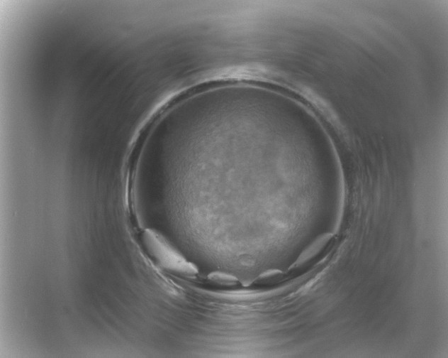 X0000068821224200605081137