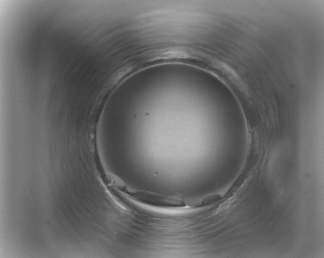 X0000068821225200605081137