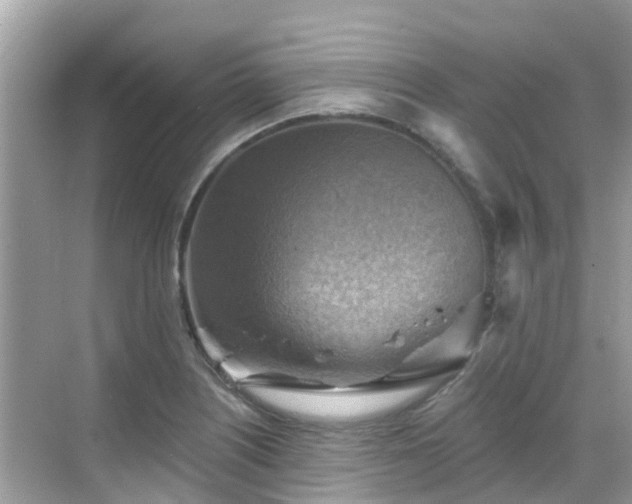 X0000068821226200605081137