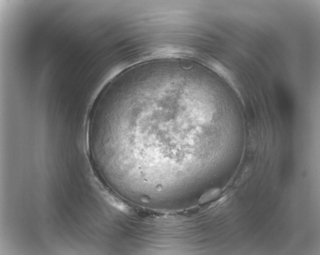 X0000068821227200605081137