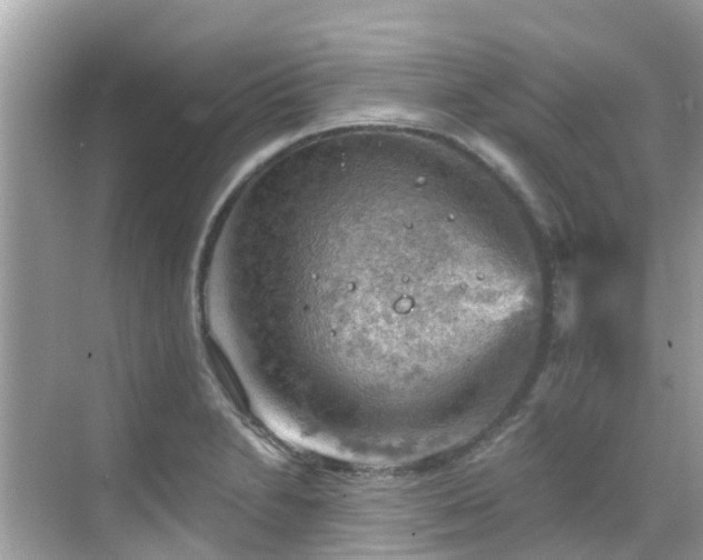 X0000068821230200605081137