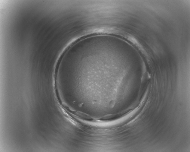 X0000068821232200605081137