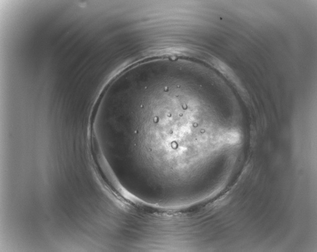 X0000068821234200605081137