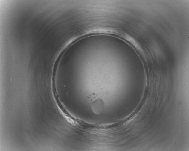 X0000068821237200605081137