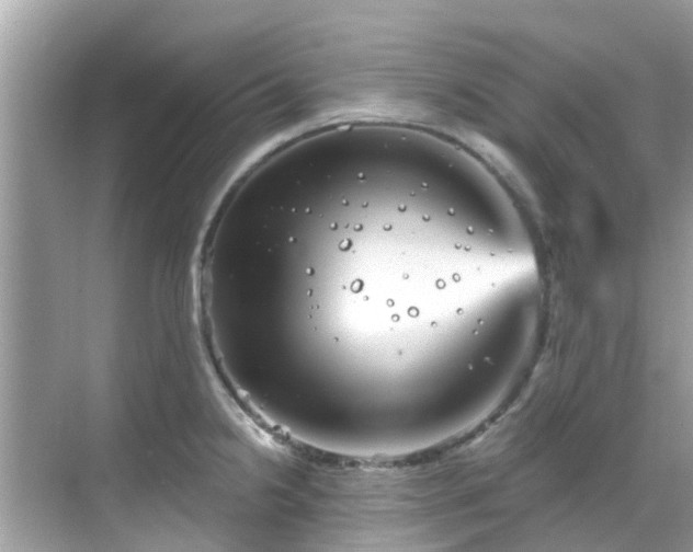 X0000068821238200605081137