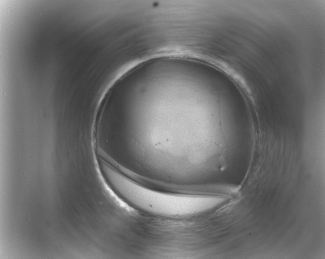 X0000068821239200605081137