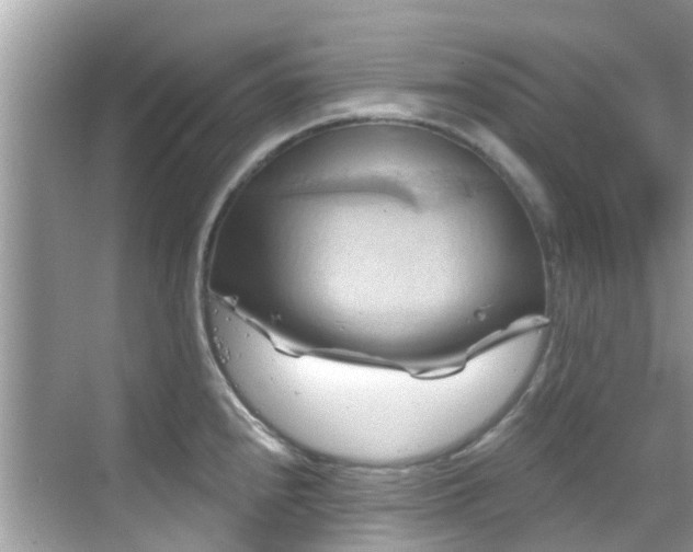 X0000068821240200605081137