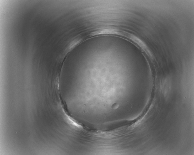 X0000068821241200605081137