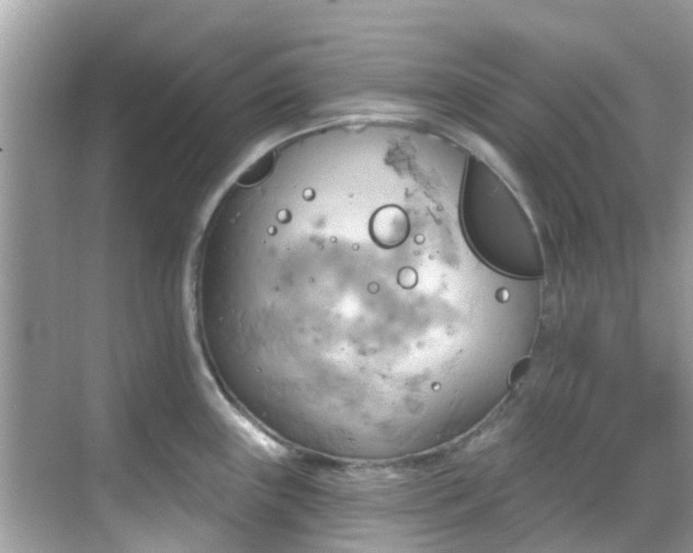 X0000068821243200605081137