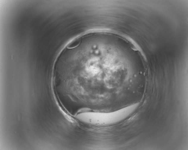 X0000068821245200605081137