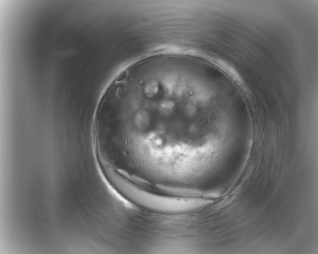 X0000068821247200605081137