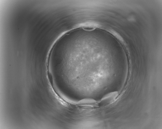 X0000068821248200605081137