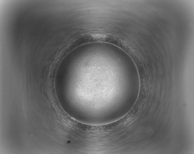 X0000068821249200605081136