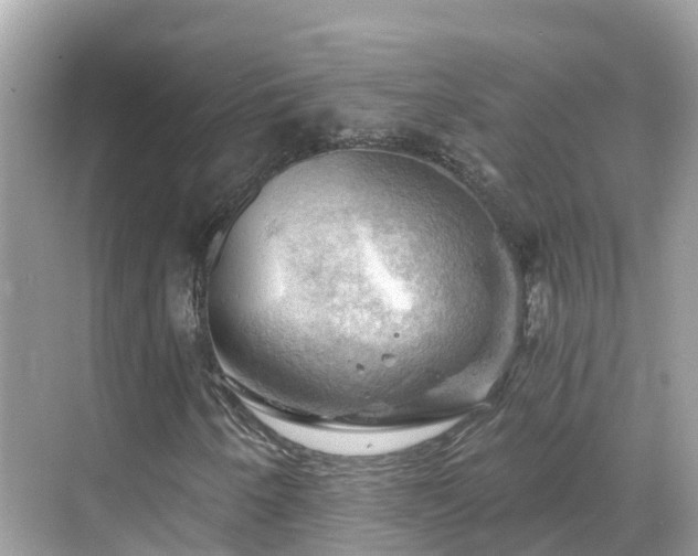 X0000068821250200605081136