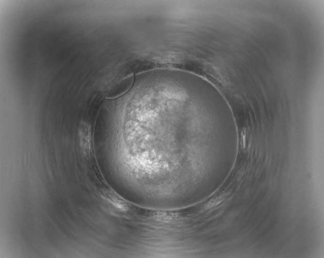 X0000068821251200605081136