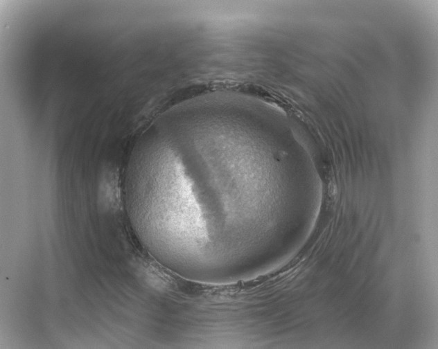 X0000068821252200605081136