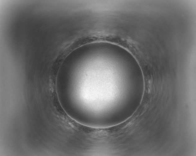 X0000068821253200605081136