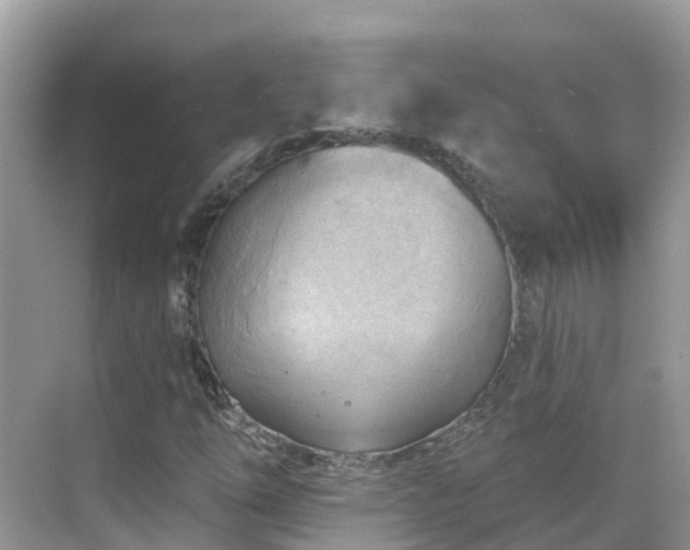 X0000068821254200605081136