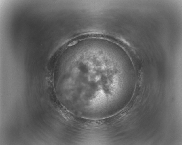 X0000068821255200605081136