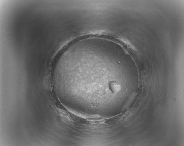 X0000068821256200605081136