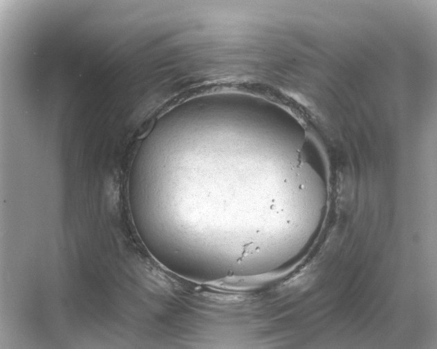 X0000068821257200605081136