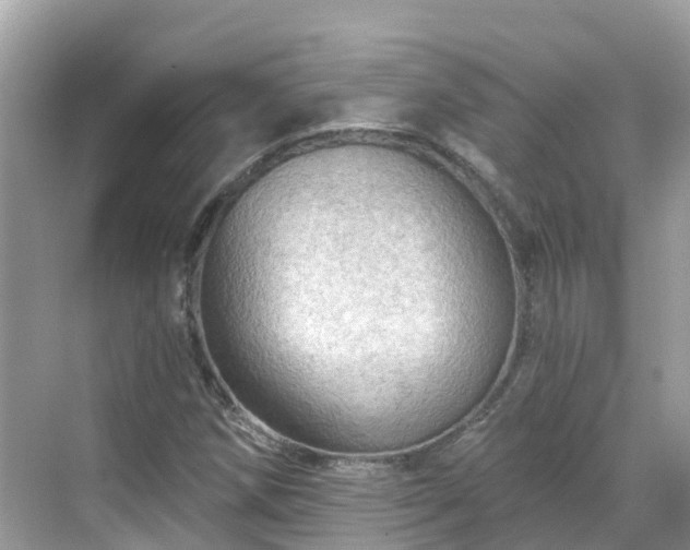 X0000068821258200605081136