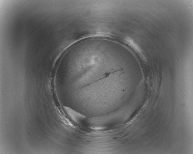 X0000068821260200605081136