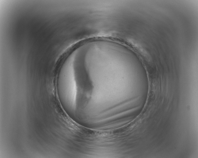 X0000068821262200605081136