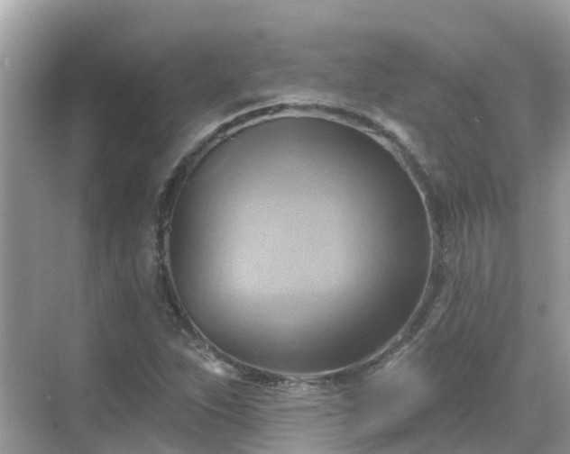 X0000068821263200605081136