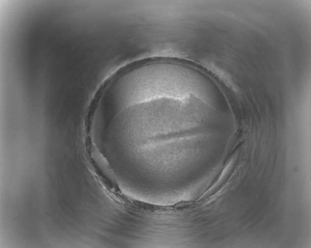 X0000068821264200605081136