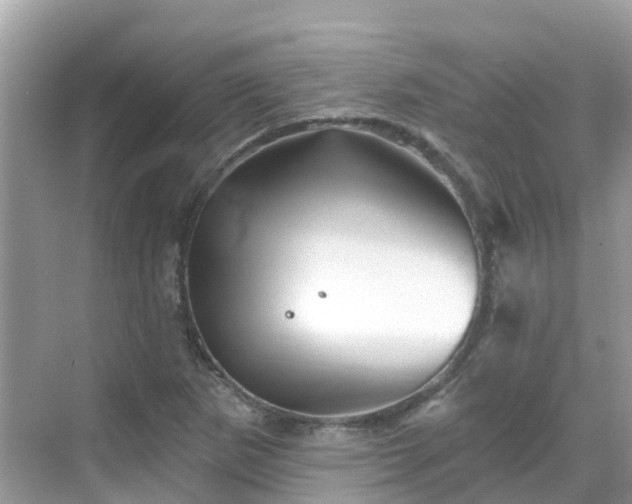 X0000068821265200605081136