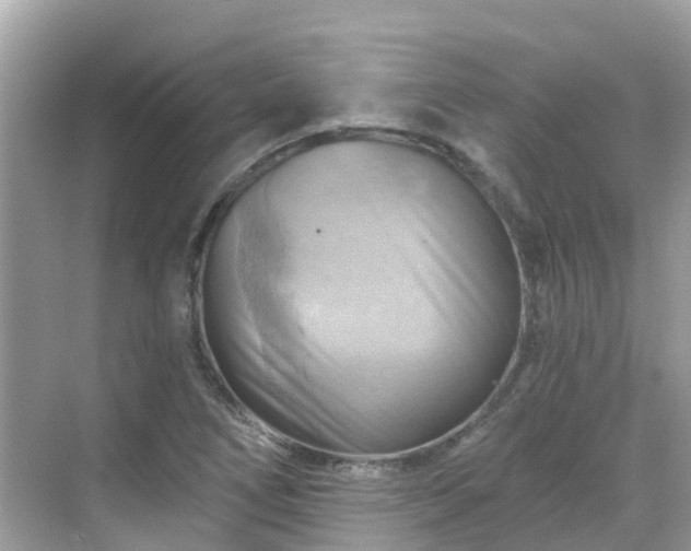 X0000068821266200605081136