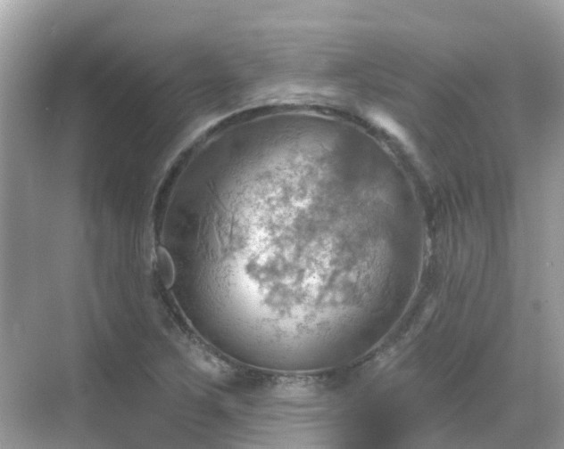 X0000068821267200605081136