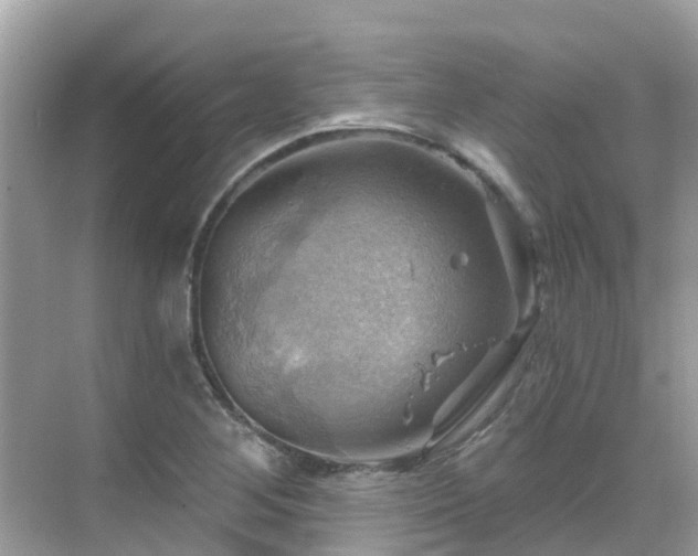 X0000068821268200605081136