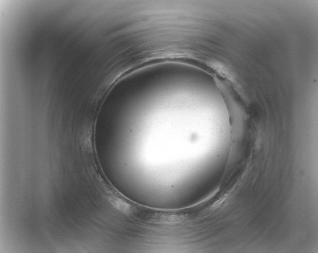 X0000068821273200605081136