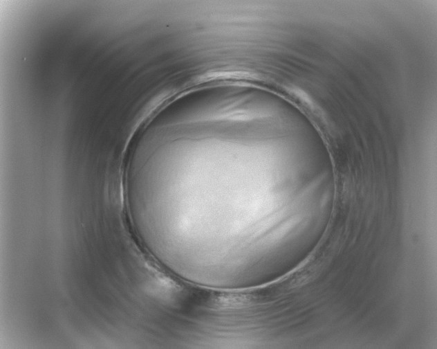 X0000068821274200605081136