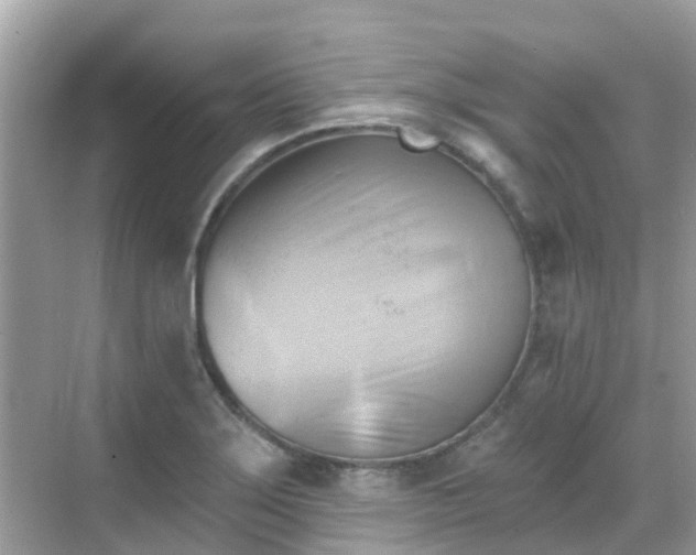 X0000068821275200605081136